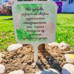 IMG_20220923_214438_654