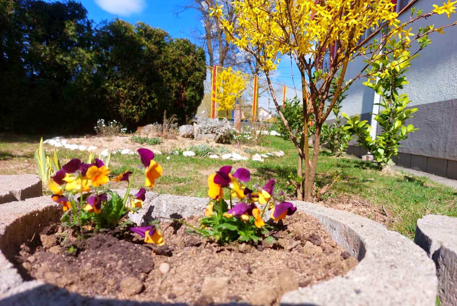 337554528_3112402512238297_1659892807544658443_n